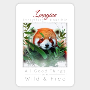 Red Panda Nature Outdoor Imagine Wild Free Sticker